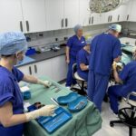 hair transplant surgery